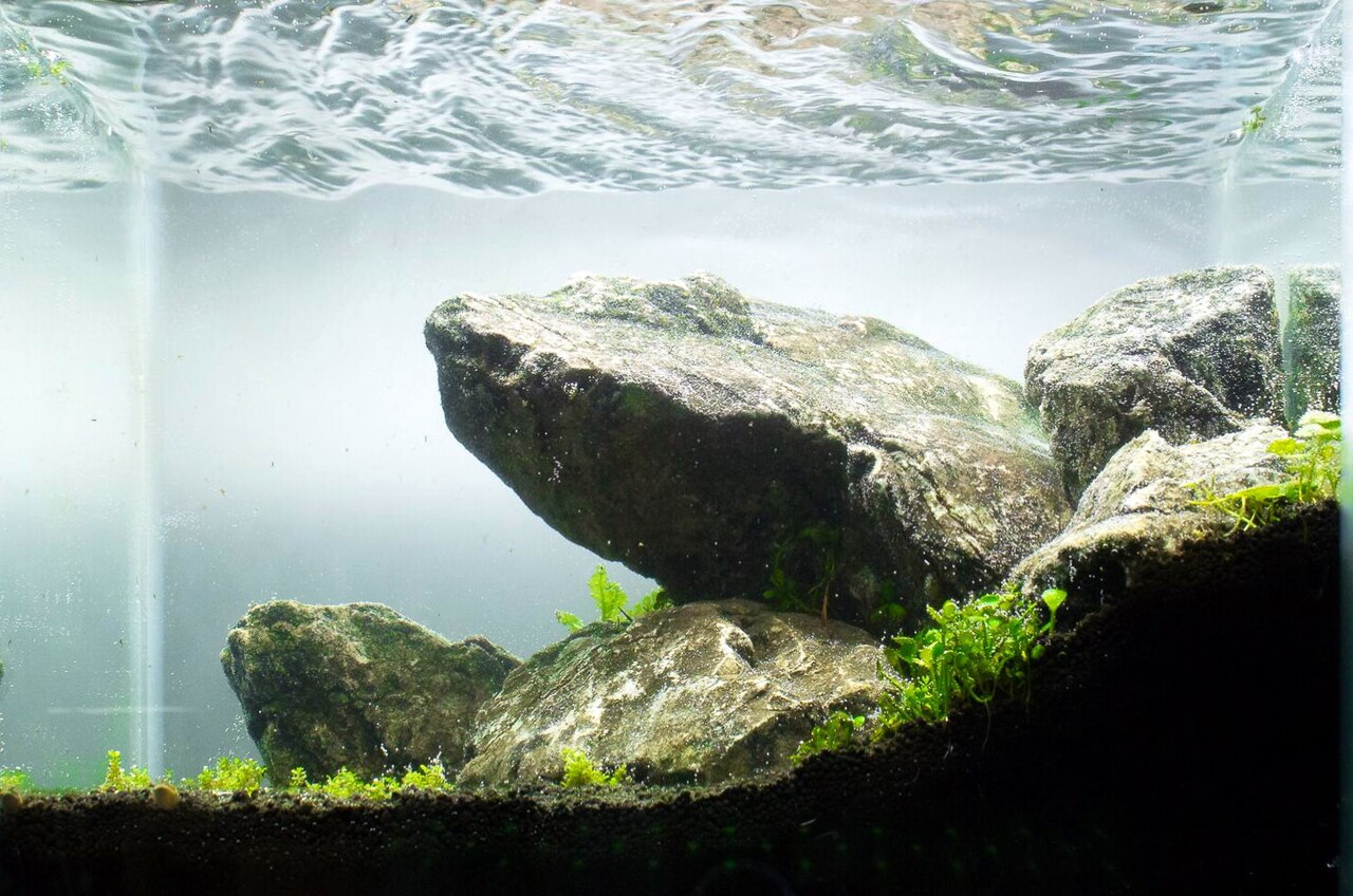 石の方向と余白を生かした石組水景