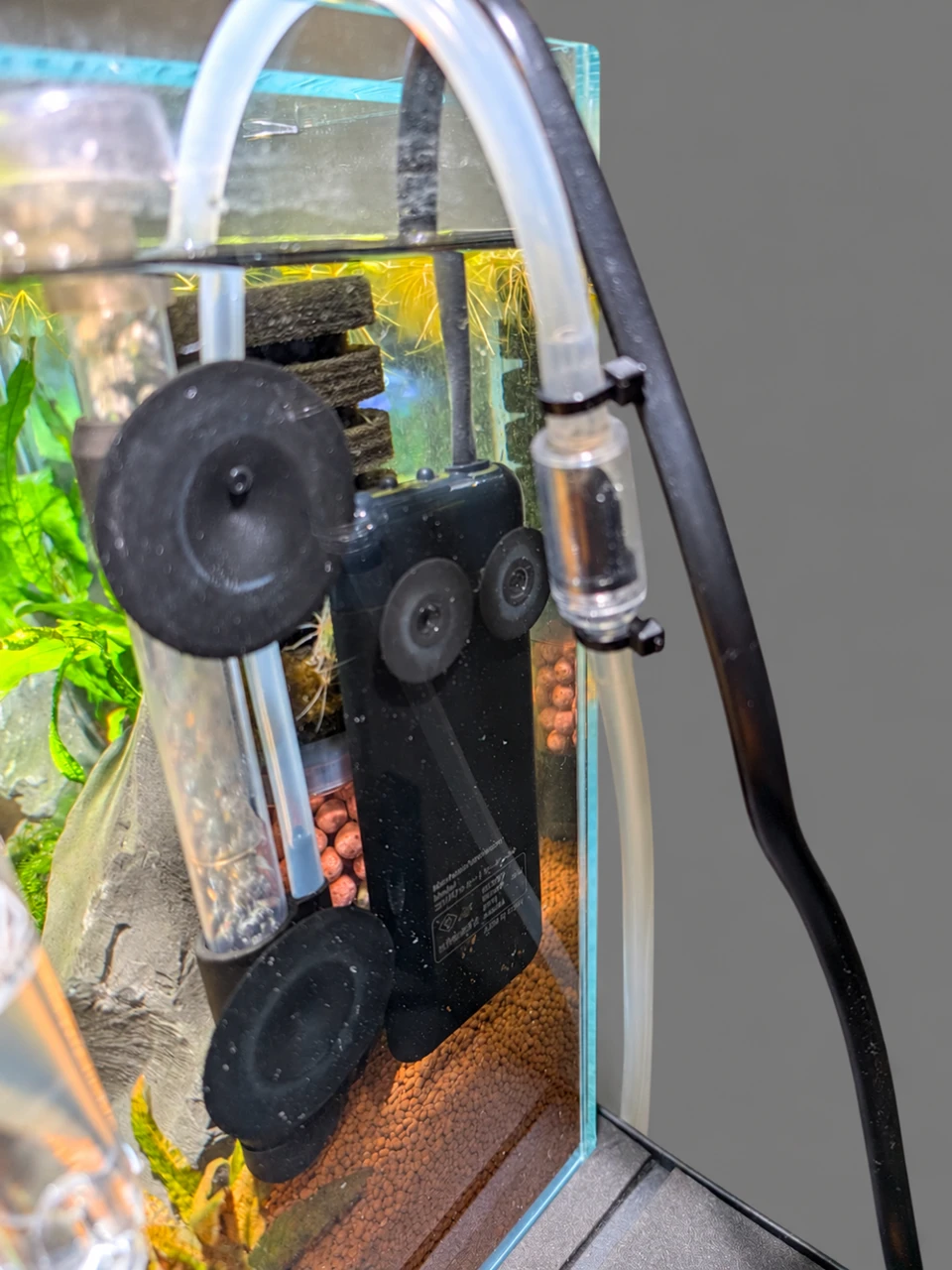 ADA36cm水槽で使用している水作コンパクトオートヒーター60