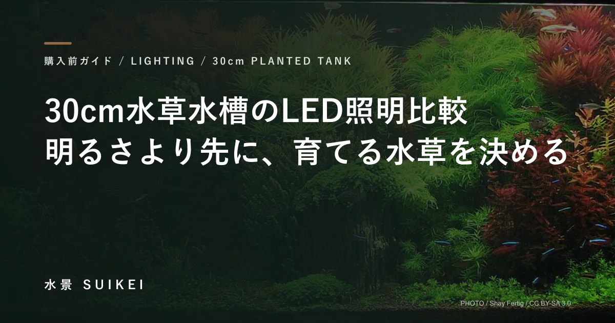 30cm水草水槽のLED照明比較。明るさより先に、育てる水草を決める。の記事サムネイル