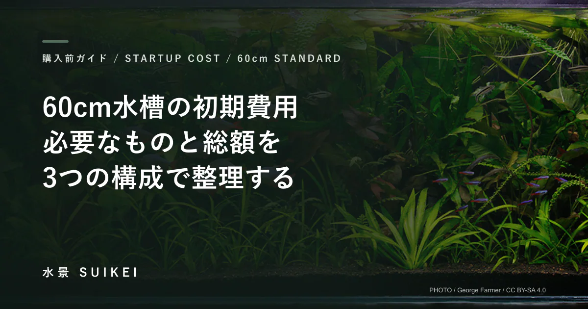 60cm水槽の初期費用。必要なものと総額を、3つの構成で整理する。の記事サムネイル