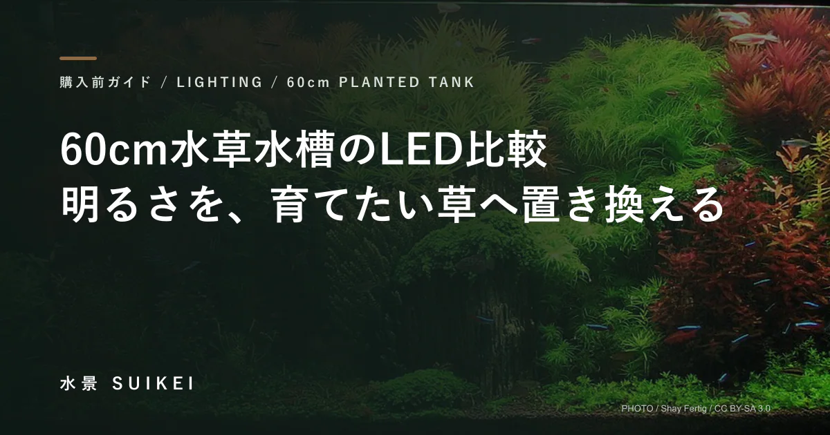 60cm水草水槽のLED比較。明るさを、育てたい草へ置き換える。の記事サムネイル