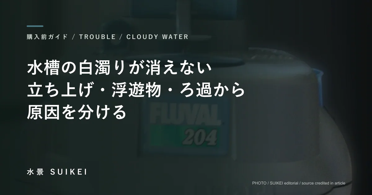 水槽の白濁りが消えない。立ち上げ・浮遊物・ろ過から原因を分ける。の記事サムネイル