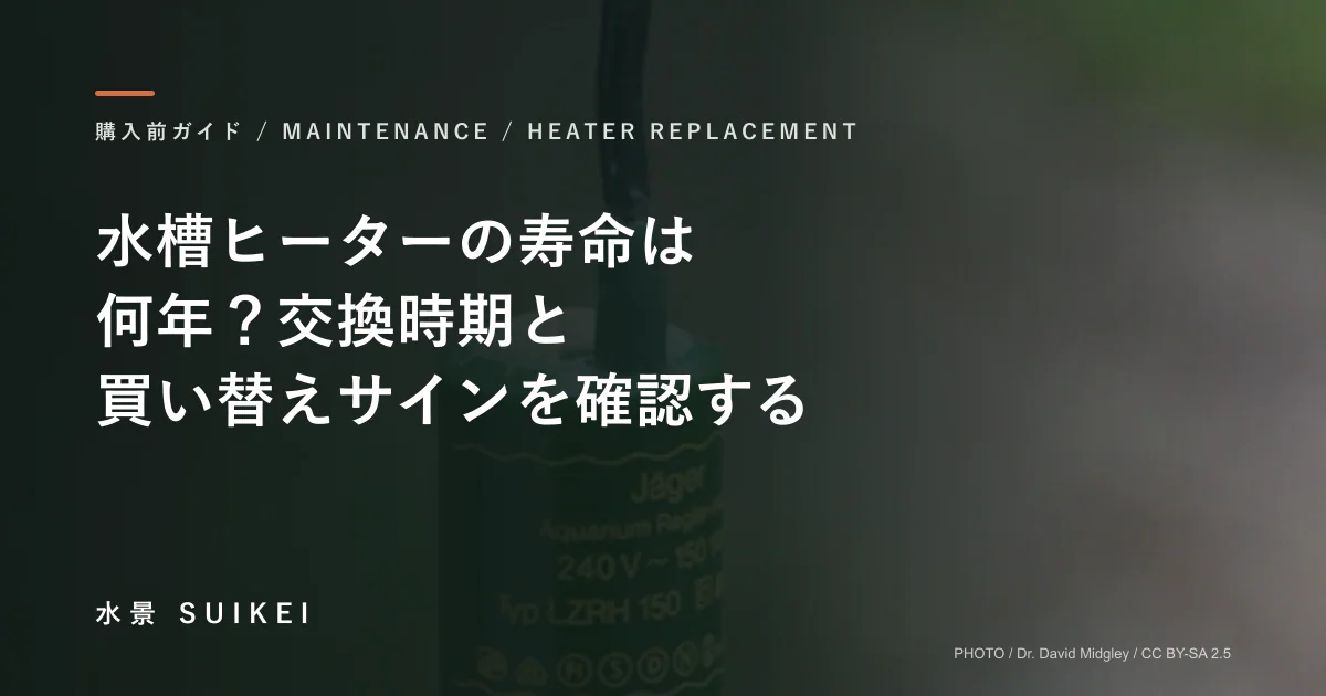 水槽ヒーターの寿命は何年？交換時期と買い替えサインを確認する。の記事サムネイル