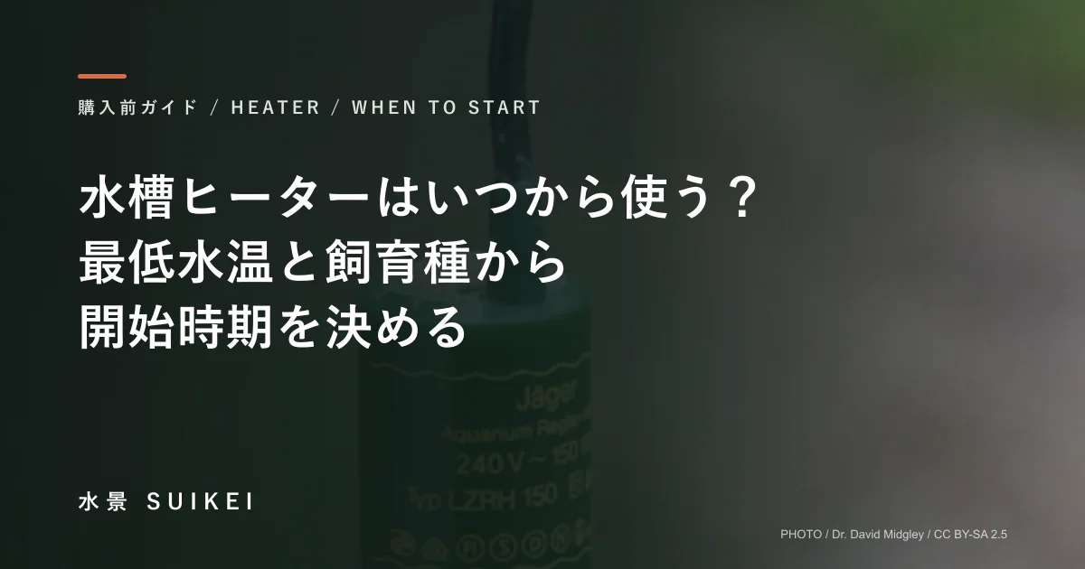 水槽ヒーターはいつから使う？最低水温と飼育種から、開始時期を決める。の記事サムネイル