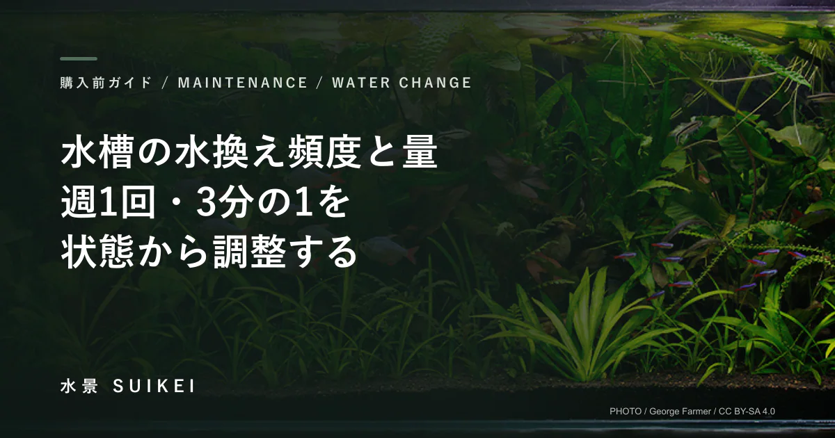 水槽の水換えは週1回でよい？量・手順と、底床に合う掃除道具の記事サムネイル