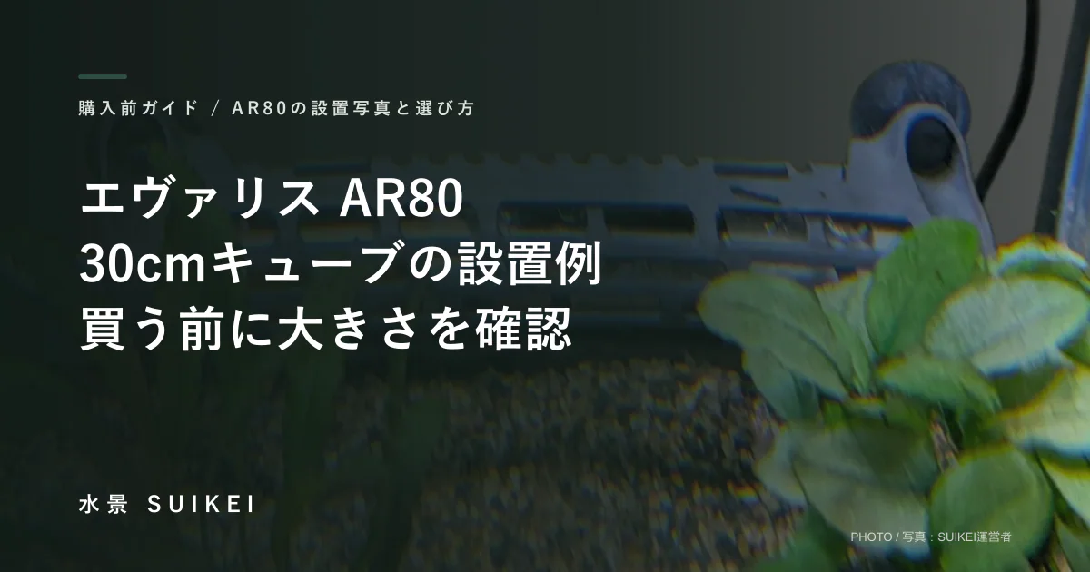 エヴァリスAR80を30cmキューブに設置｜大きさ・水量・購入前の確認点の記事サムネイル