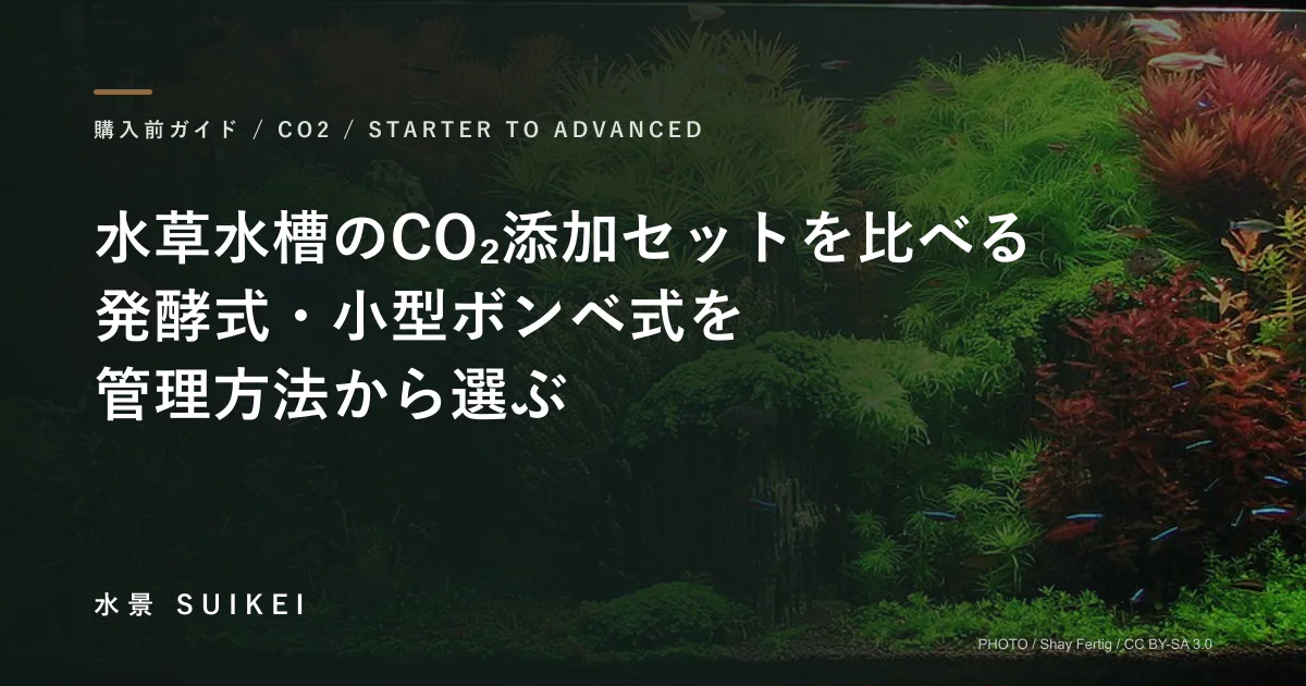 水草水槽のCO₂添加セットを比べる。発酵式・小型ボンベ式を、管理方法から選ぶ。の記事サムネイル