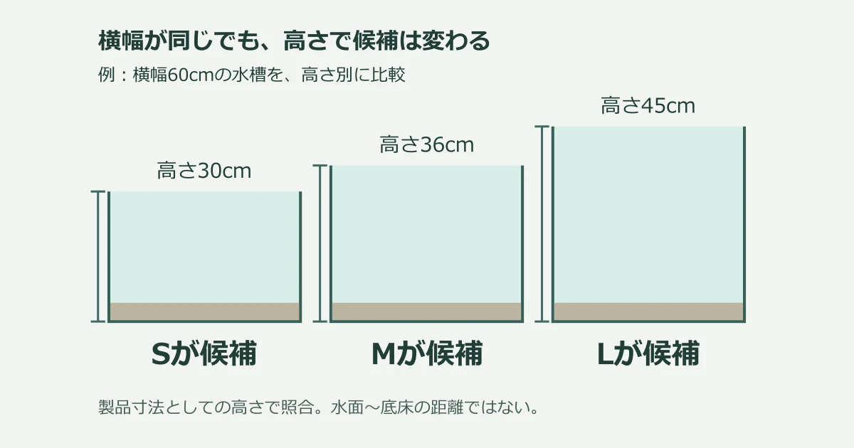 プロホース エクストラのサイズ選び方｜S・M・Lの違いを写真で比較の記事サムネイル