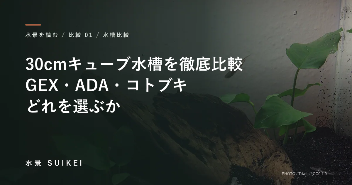 30cmキューブ水槽を徹底比較。GEX・ADA・コトブキ、どれを選ぶかの記事サムネイル