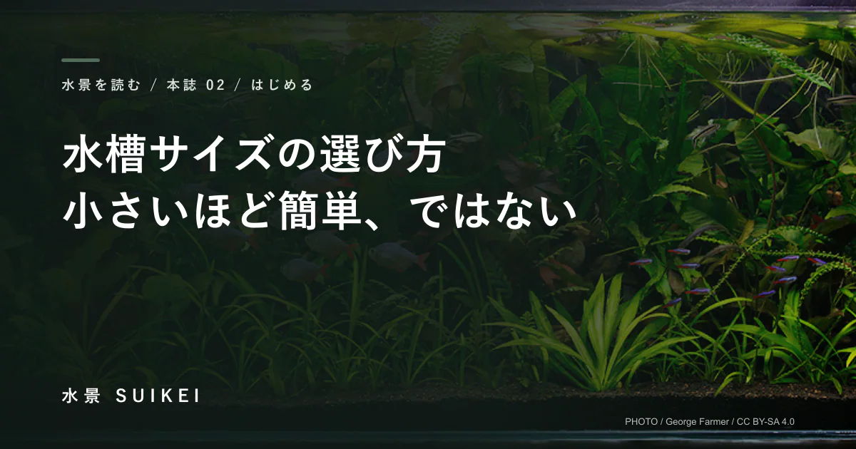 水槽サイズの選び方。小さいほど簡単、ではないの記事サムネイル