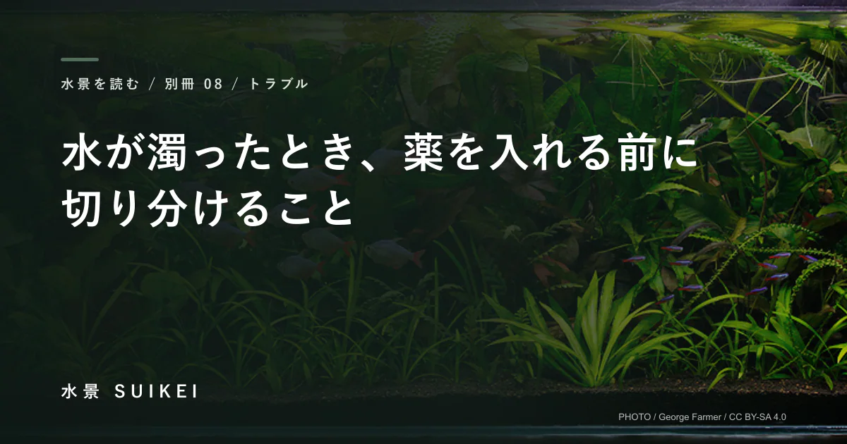水が濁ったとき、薬を入れる前に切り分けることの記事サムネイル