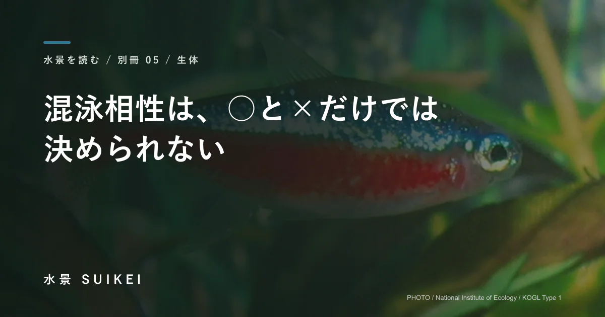 混泳相性は、○と×だけでは決められないの記事サムネイル