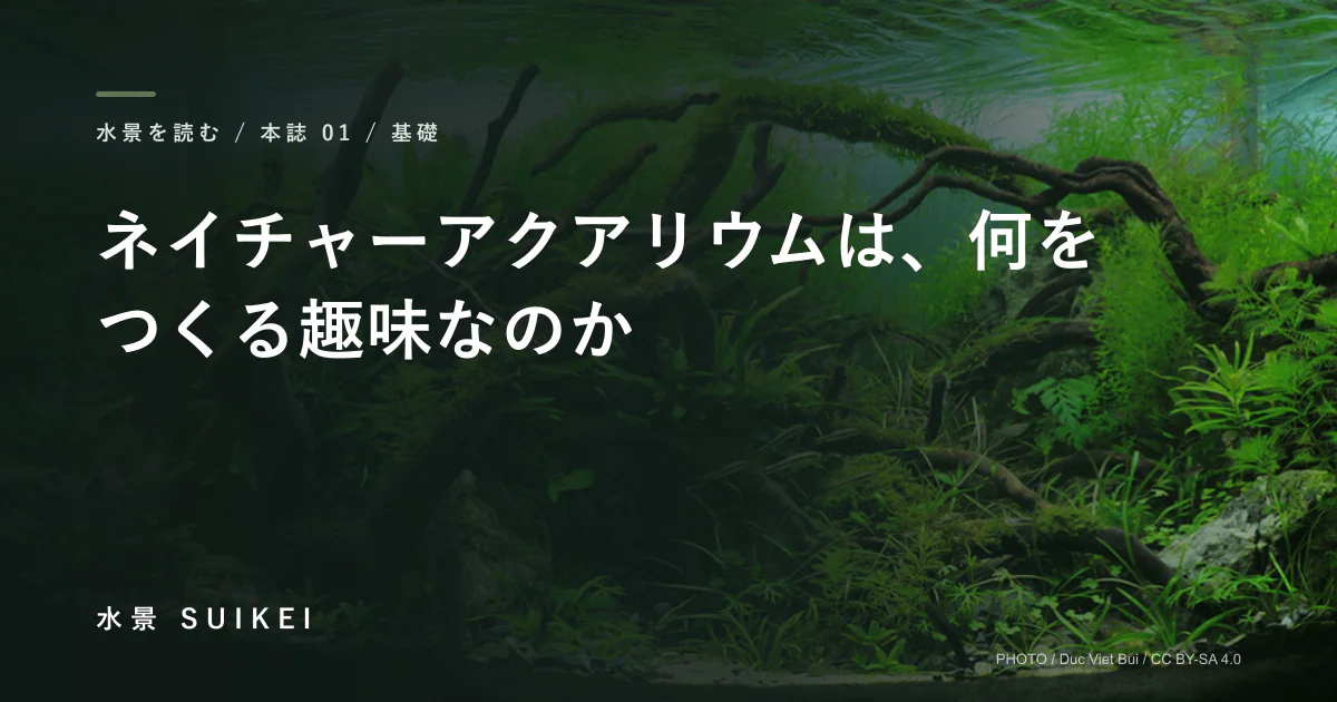 ネイチャーアクアリウムは、何をつくる趣味なのかの記事サムネイル