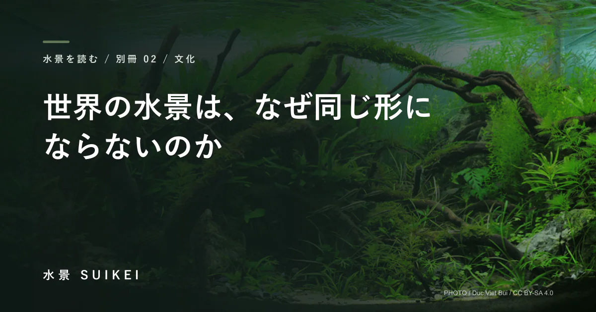 世界の水景は、なぜ同じ形にならないのかの記事サムネイル